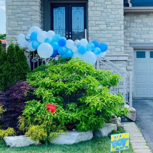 Balloon Bouquet # 32, Front-Yard-Balloon-Garland