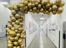 amazon-garland