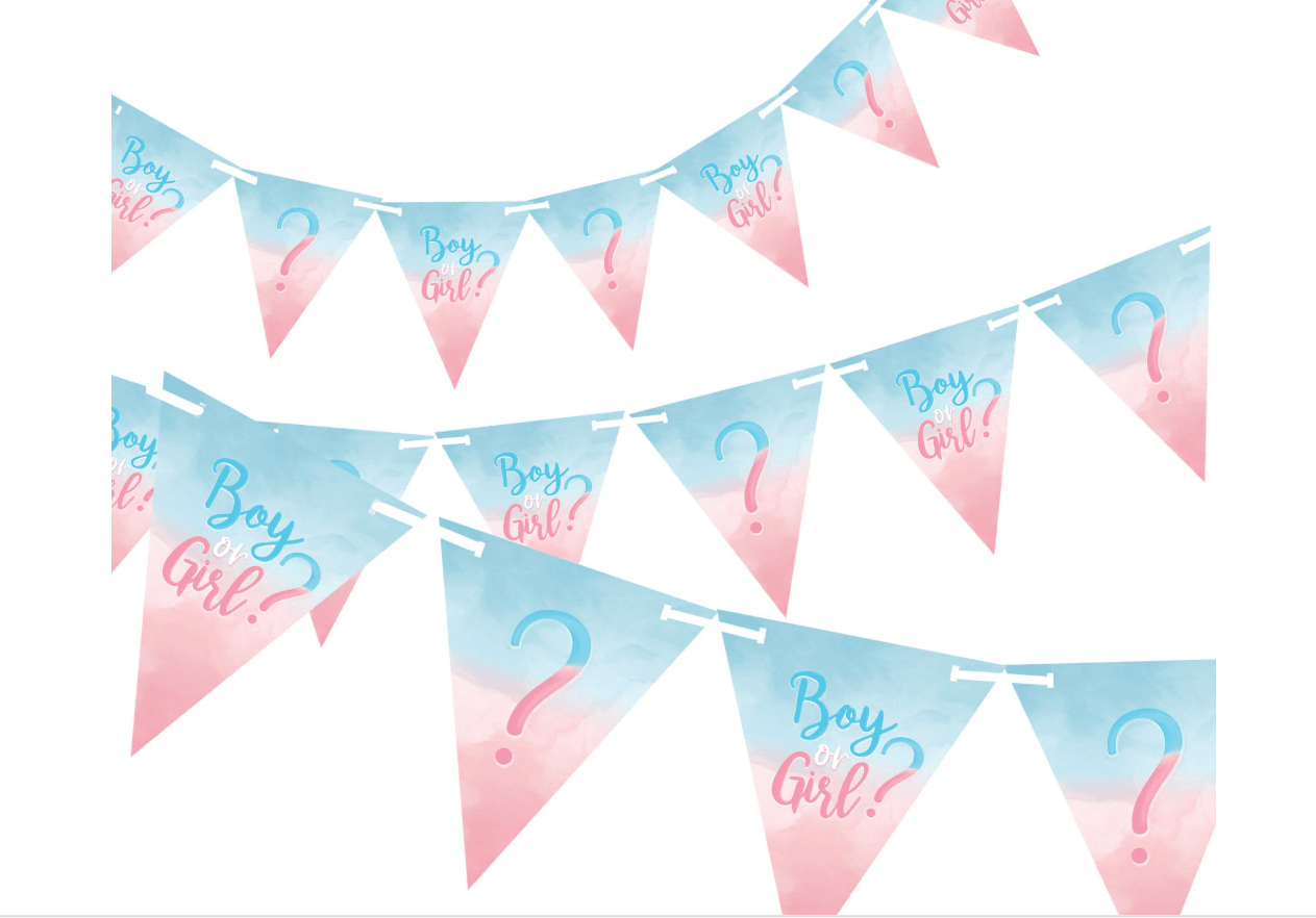 Boy or Girl Pennant Banner, 24 Pennants